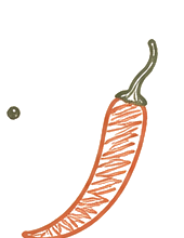 Chili sketch